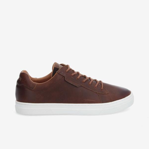 SPARKLE SNEAKER M - CICLON - BROWN