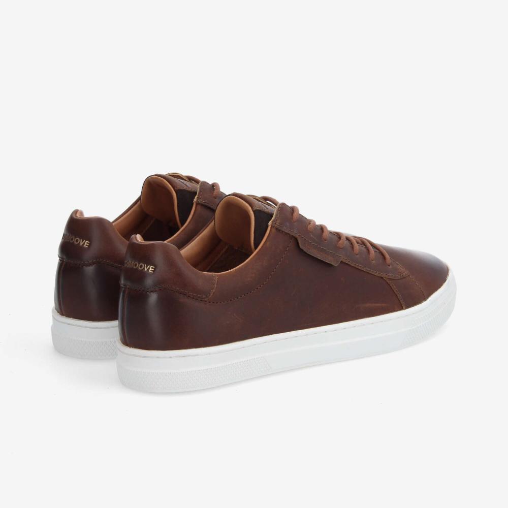 SPARKLE SNEAKER M - CICLON - BROWN SPARKLE SNEAKER M - CICLON - BROWN